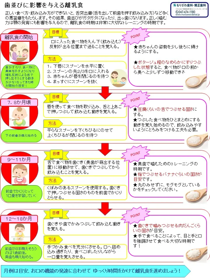 歯並びに影響を与える離乳食