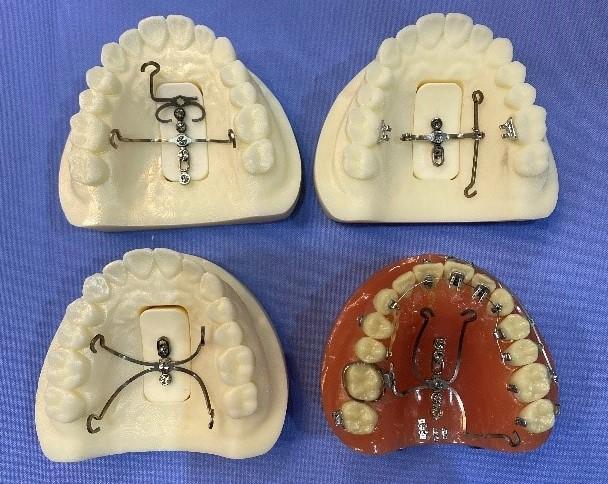 第81回日本矯正歯科学会学術大会＆第９回日韓ジョイントシンポジウム